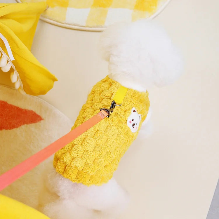 Clothes For Cat