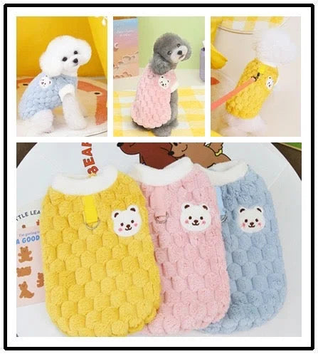 Clothes For Cat