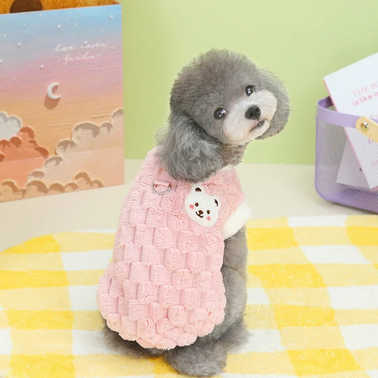 Clothes For Cat