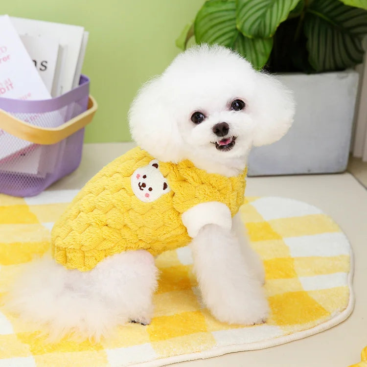 Clothes For Cat