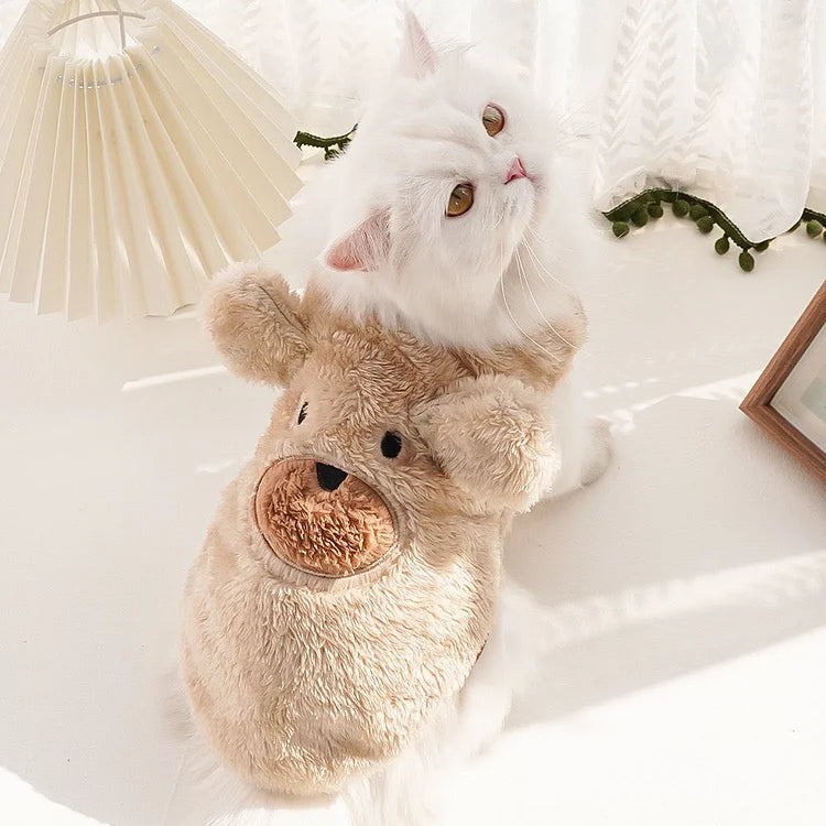 Clothes For Cat