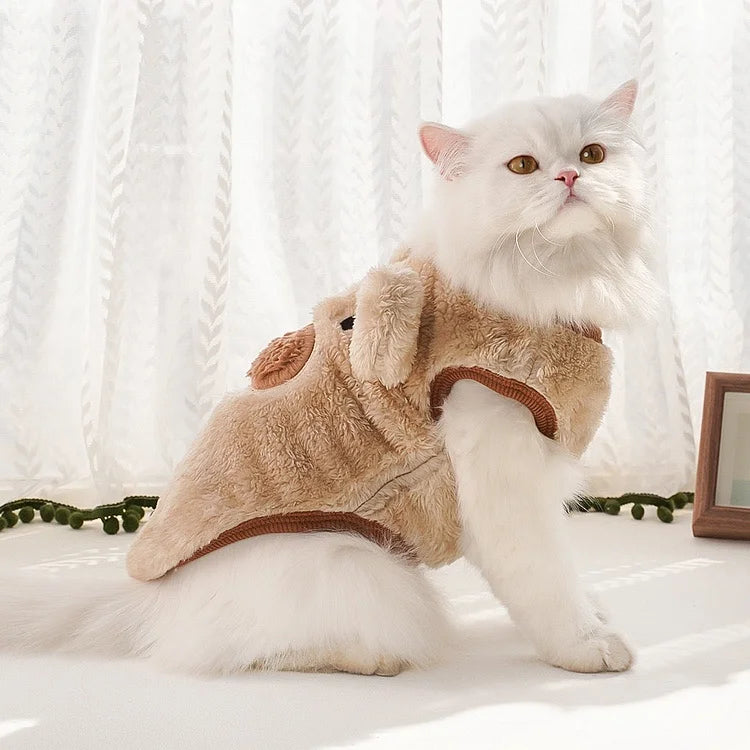 Clothes For Cat