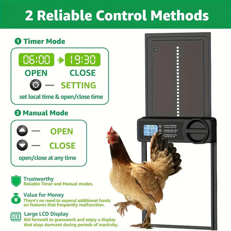 Automatic Chicken Door – Auto Timer