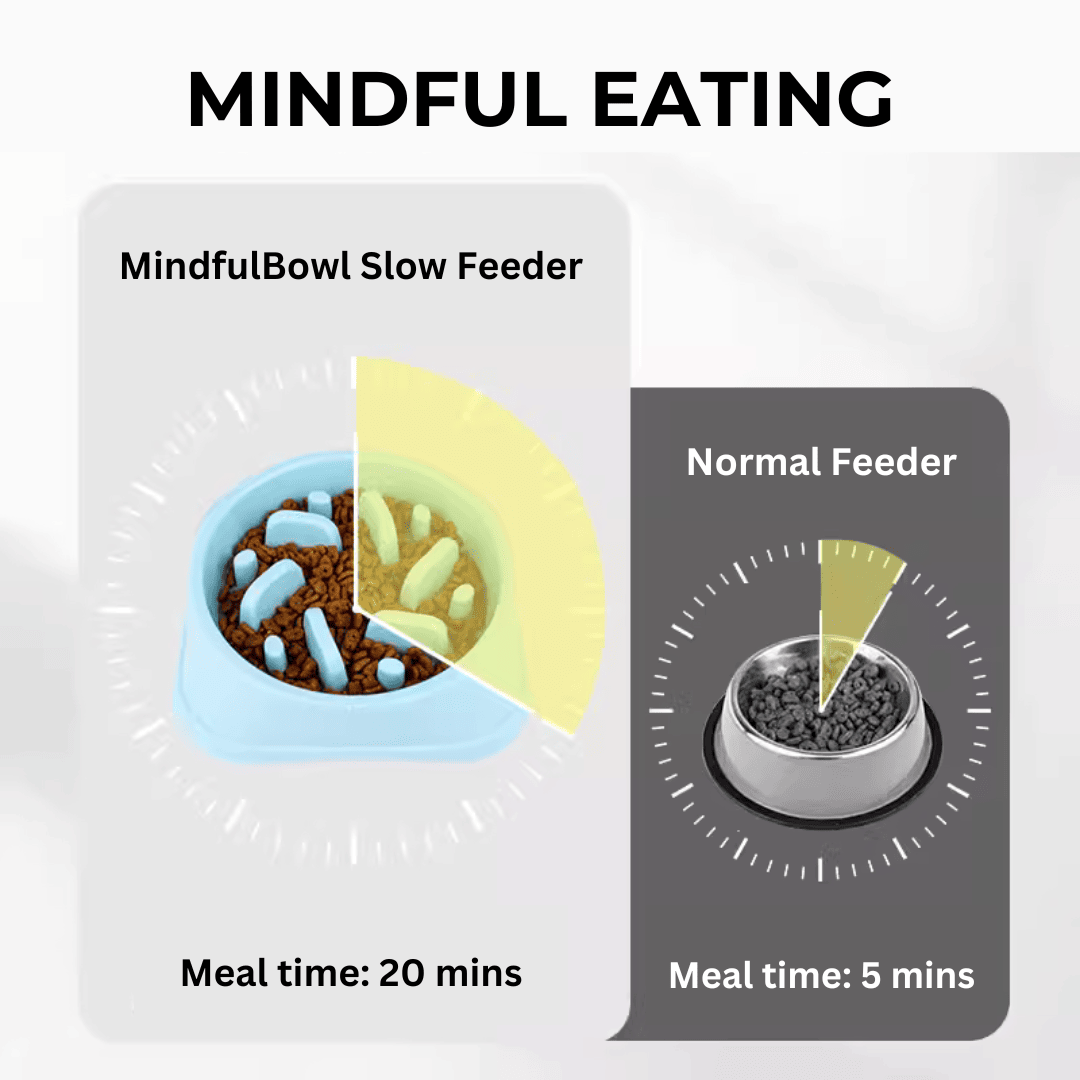 MindfulBowl™ - Premium Slow Food Feeder