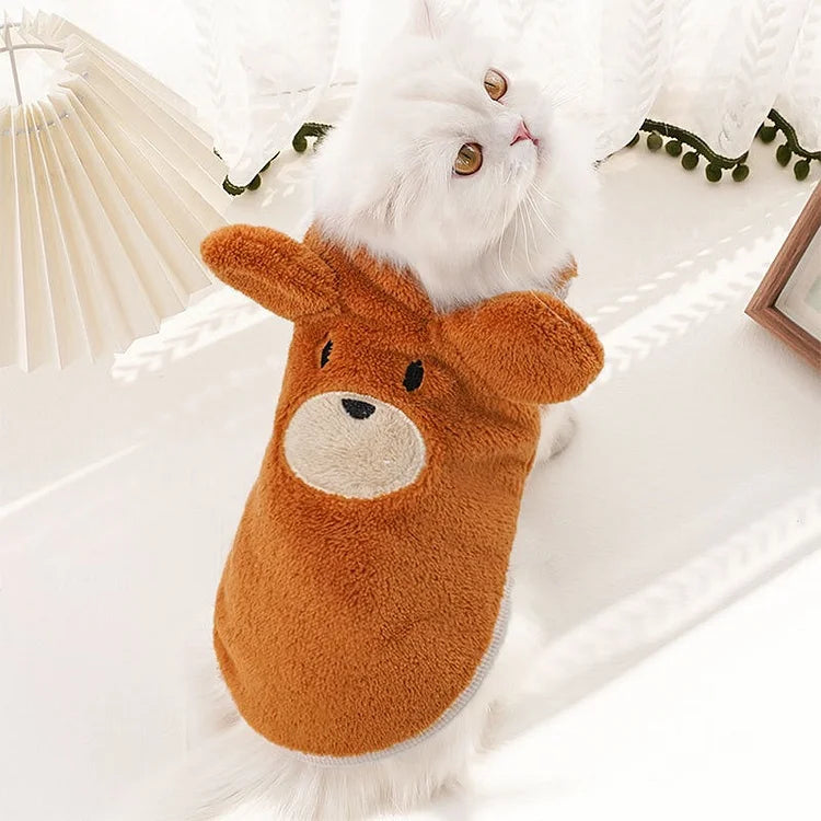 Clothes For Cat