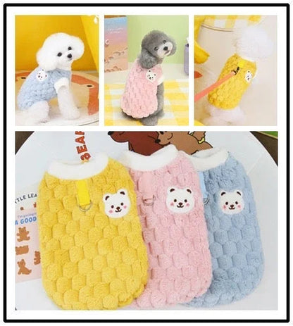 Clothes For Cat