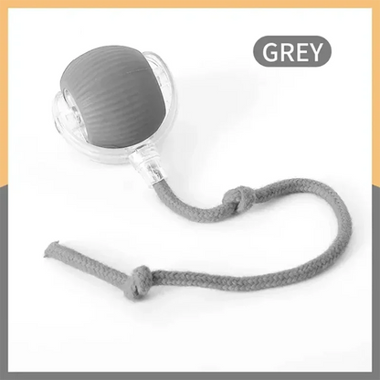 Interactive Cat Toys Ball _ Grey