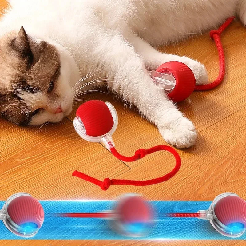 Interactive Cat Toys Ball 