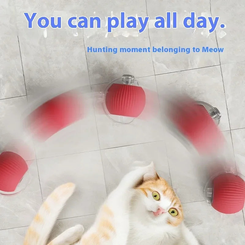 Interactive Cat Toys Ball 