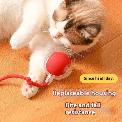 Interactive Cat Toys Ball 