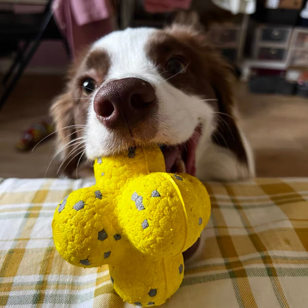 Calming Balls (2 Balls)